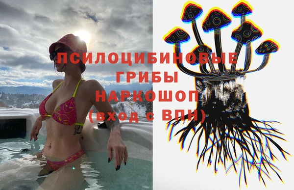 МДПВ Бронницы