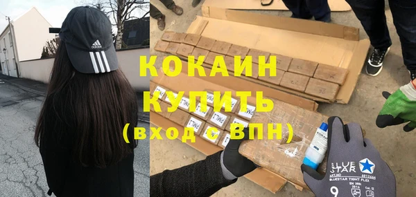 тгк Бородино