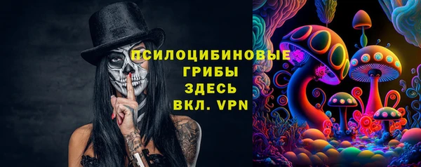 тгк Бородино