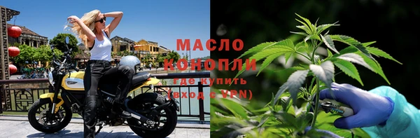 тгк Бородино