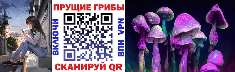 Псилоцибиновые грибы GOLDEN TEACHER  как найти закладки  площадка клад  Гурьевск 